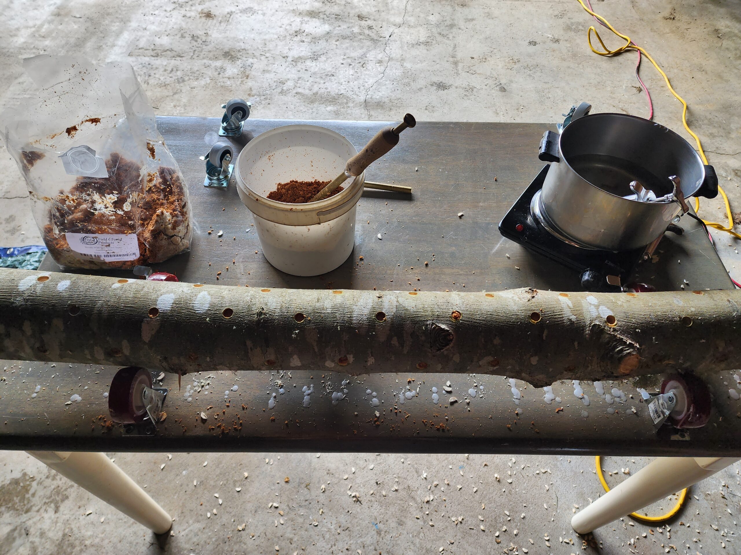 An inoculation station consisting of a table with caster wheels fixed to it to hold the log, a bucket of spawn, and a hot plate with melted wax.  