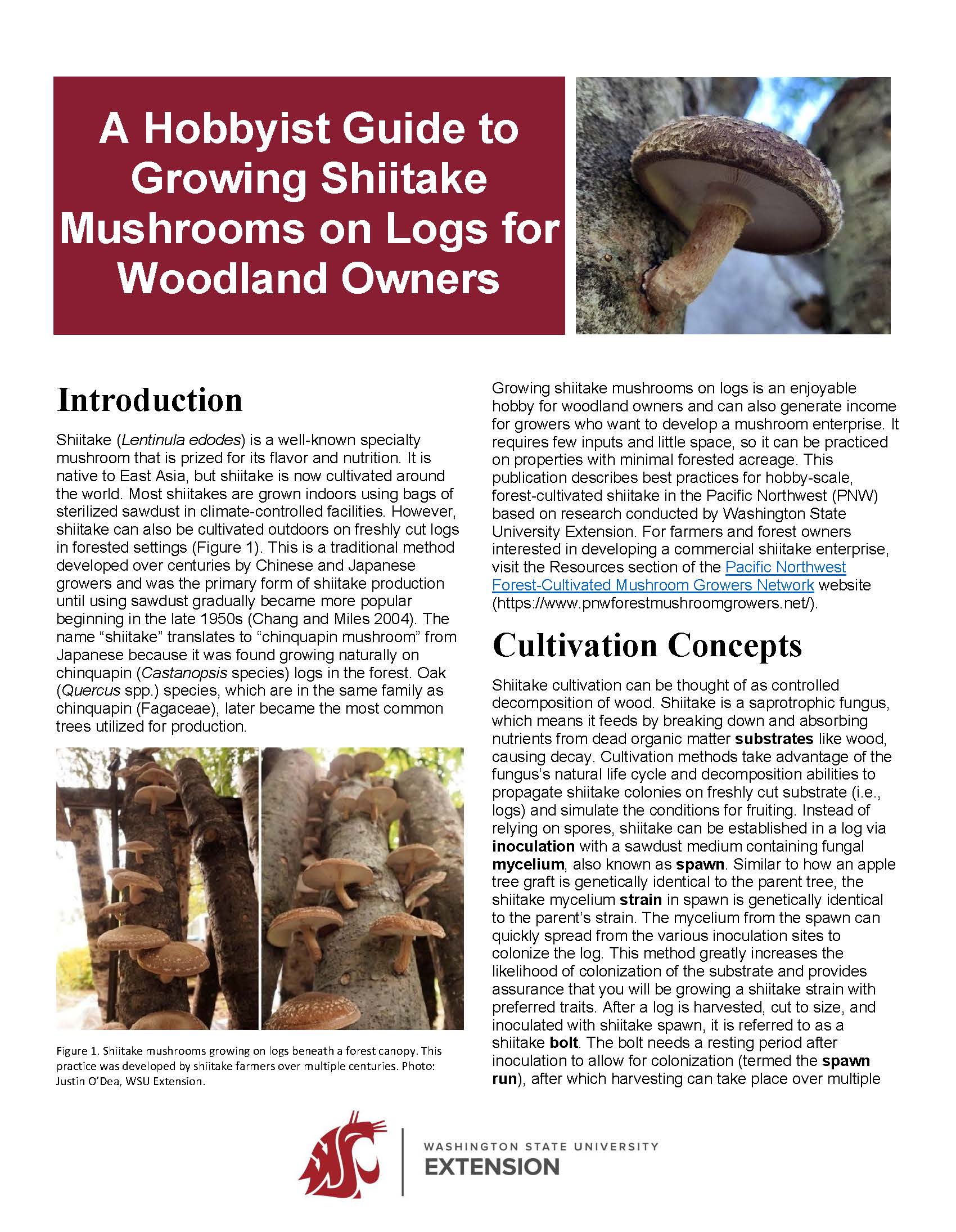A screenshot of the first page of the WSU Extension hobbyist shiitake production guide