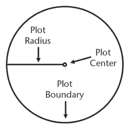 A graphic demonstrating a circular "fixed" forest inventory plot. The plot center is marked, with a line to the edge of the circle denoting the radius. The plot boundary is the circle.