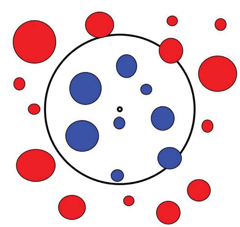The graphic shows the boundary of a fixed plot overlaid on a series of smaller circles intended to represent the location and size of trees. There are nine circles of various sizes marked blue because they are inside the plot boundary while the remaining circles are marked red as being outside of the plot.