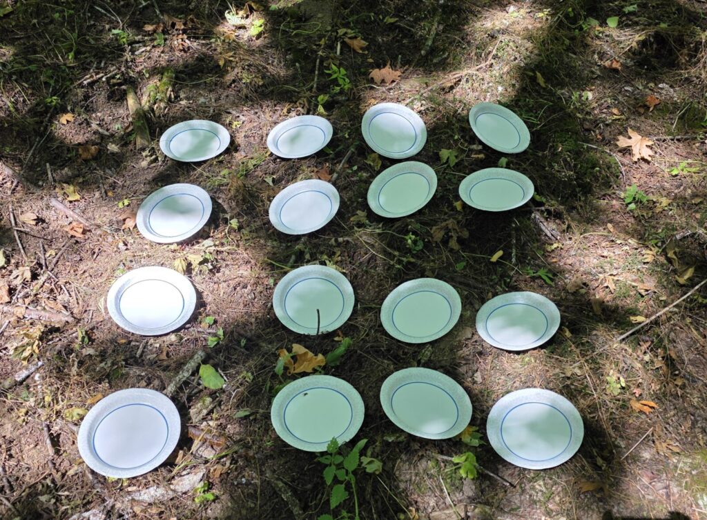 Twelve paper plates lined up in a square on the forest floor. Eight of them are at least half shaded.