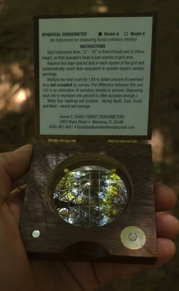 A densiometer being held and used to determine shade levels in a forest. The densiometer shows a closed conifer forest canopy with very little sunlight coming through.