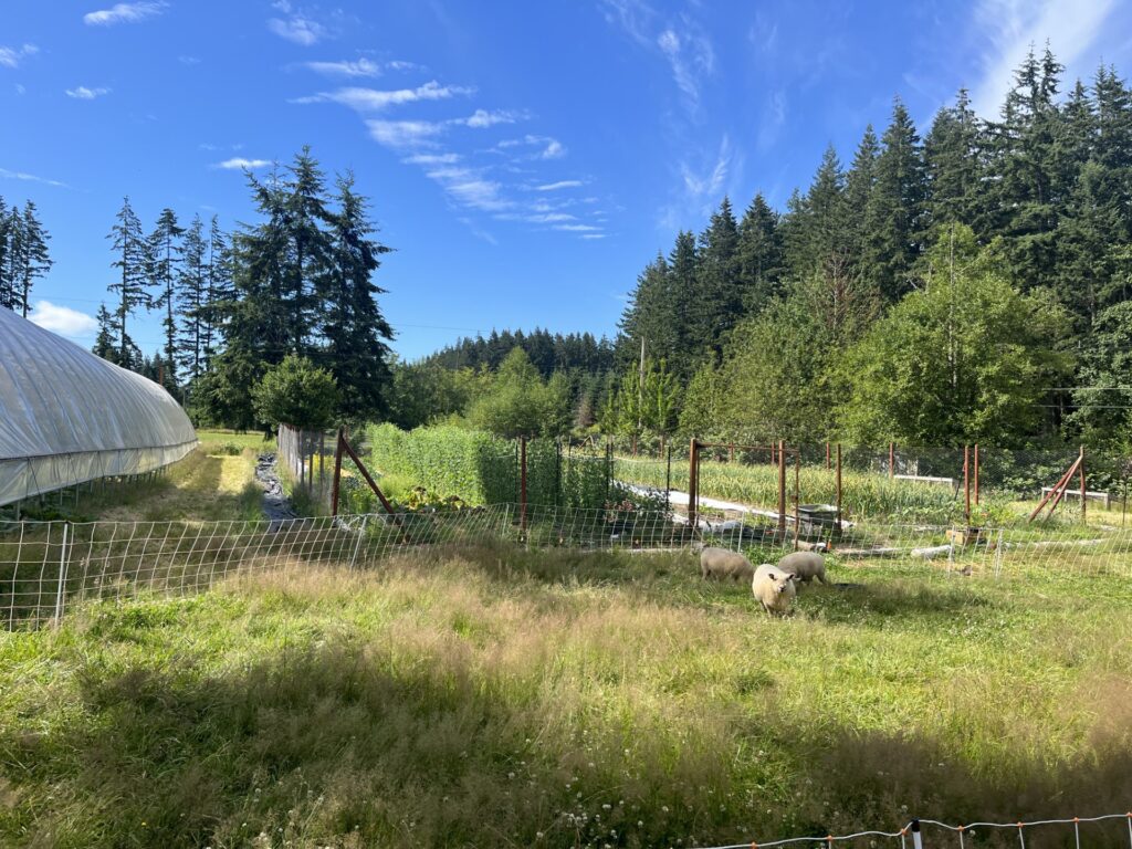 A view of Sweewater farms cropping system.