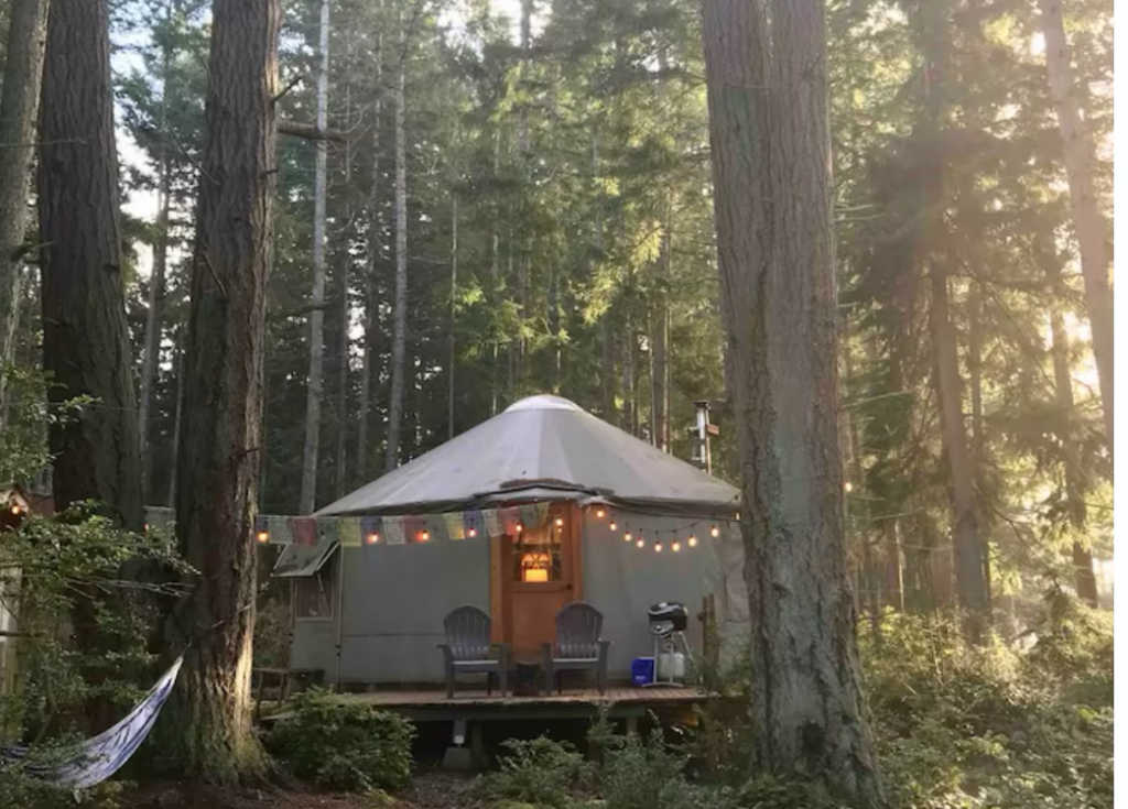 A yurt in the wood with native vegetation around it.