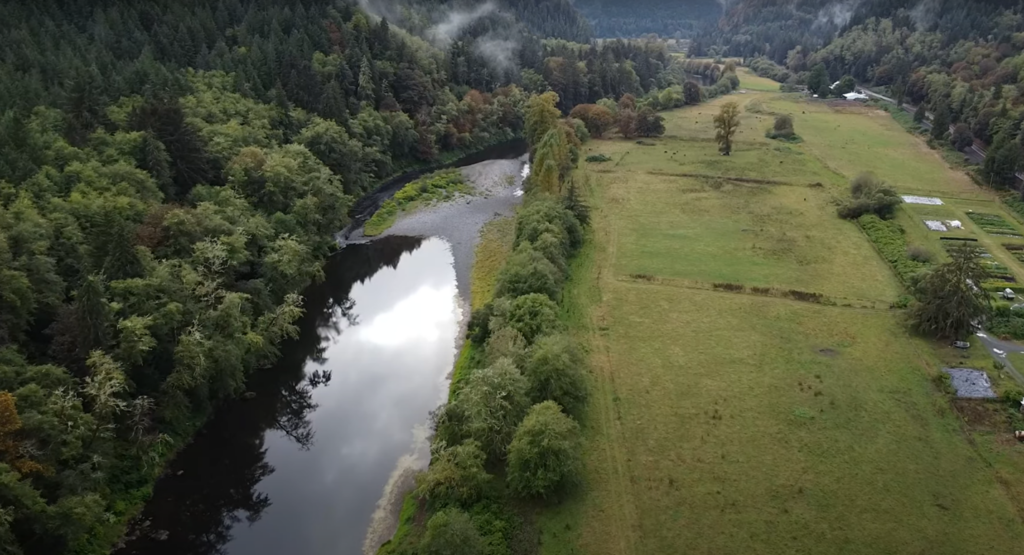 An aerial view of a river with a riparian buffer.