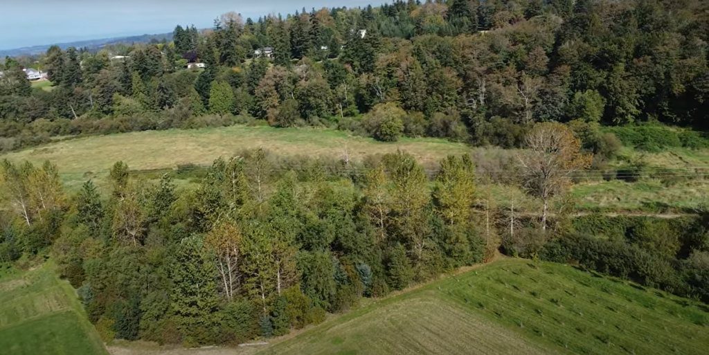 An aerial view of a natural forest riparian buffer. A dense patch of mature trees follow a meandering stream. Next to the existing vegetation there are rows of trees growing in an alley cropping system.