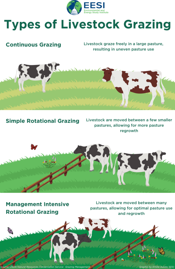 A graphic depicting three types of rotational grazing: continuous, simple rotational, and intensive rotational.