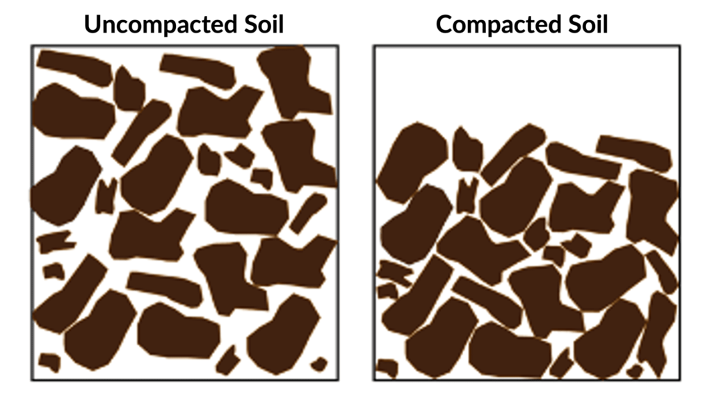 A graphic depicting two soil profiles. The left is uncompacted soil with significant pore space between soil aggregates. The right shows little or no pore space between aggregates and the total volume of soil takes up less space.