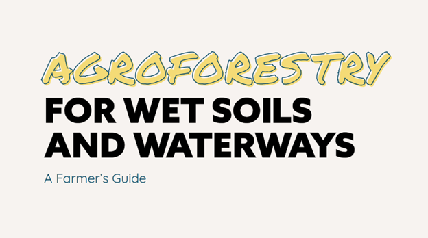 Link takes you to a PDF version of the Agroforestry for Wet Soils and Waterways guide. 