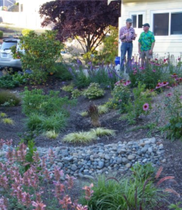 Rain Garden and Volunteers