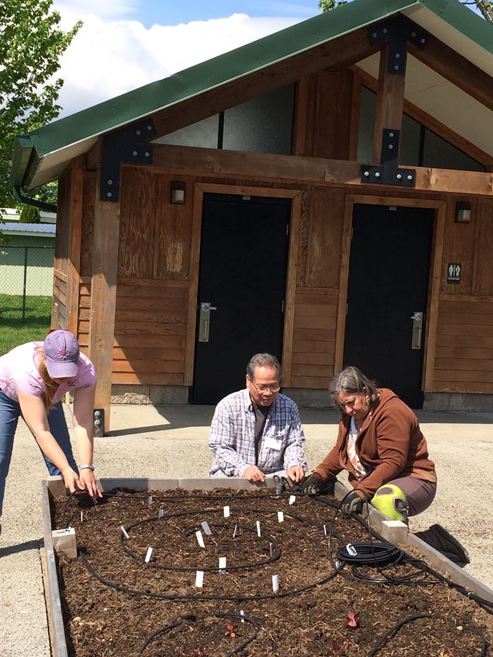 Master Gardeners planting blueberries in garden bed. 