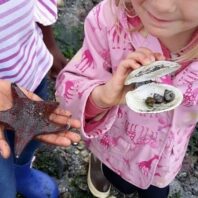 Kitsap Water Stewardship Programs