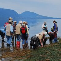 Kitsap Water Stewardship Programs