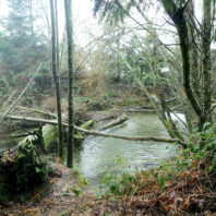 Kitsap Water Stewardship Programs