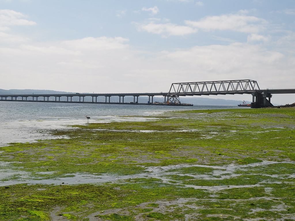 shine tidelands beachfront with bridge in background.