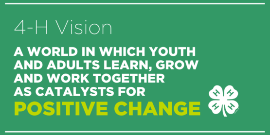 4-H Vision image