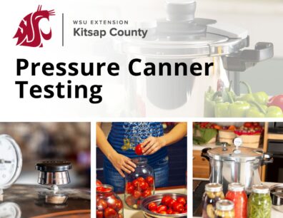 Pressure Canner Testing flyer with gauge, woman cooking and mason jars of food