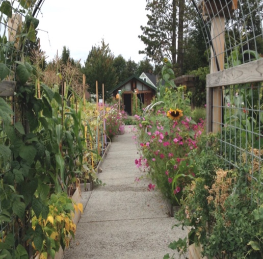 Bluberry Park demonstration site