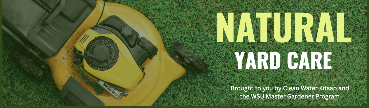 Natural Yard Care Banner