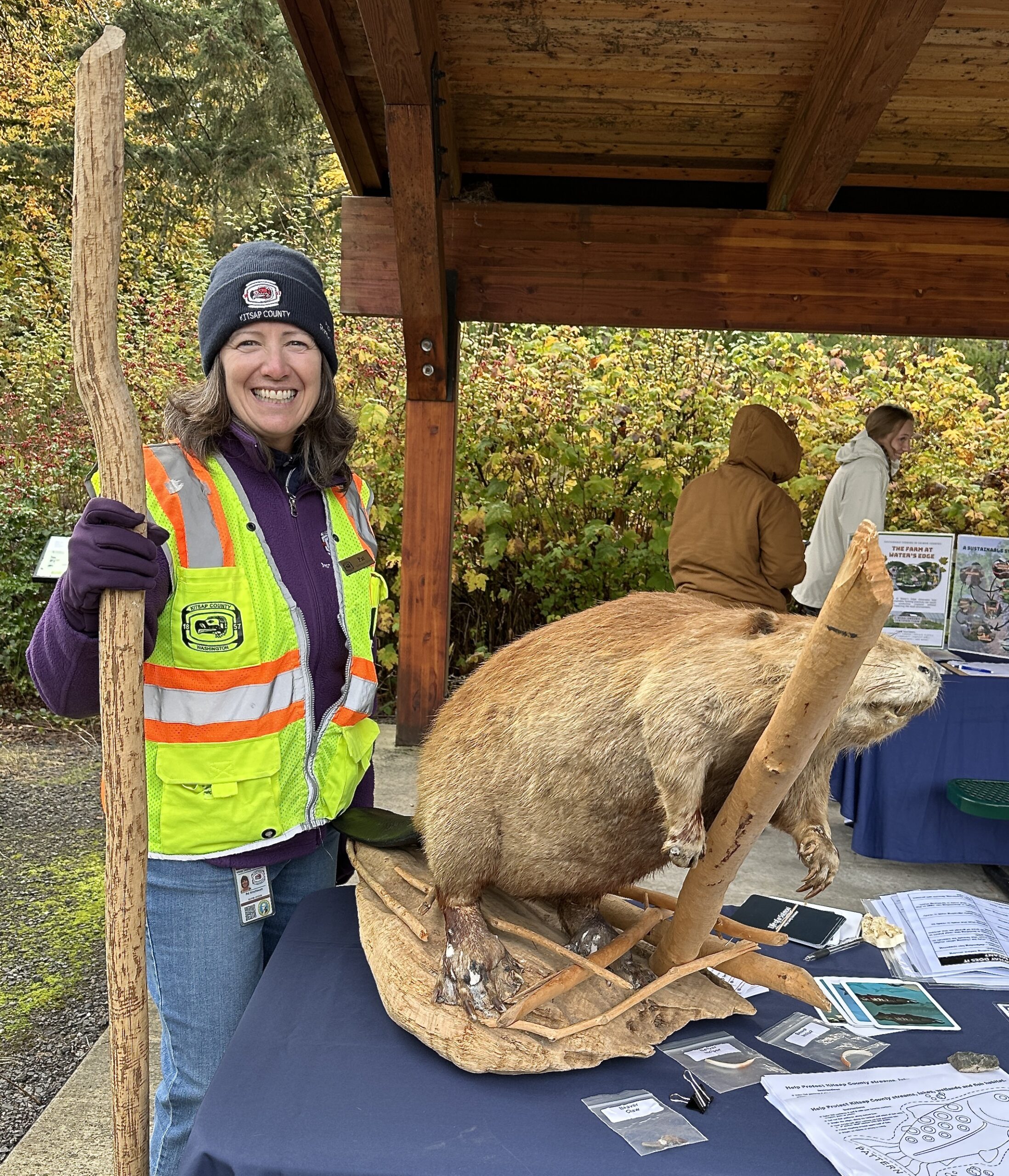 Photo of Kitsap County Public Works employee holding a large stick chewed by beavers, sharing the importance of beavers in our area, at Salmon Haven at Dickerson Creek for Salmon Tours event