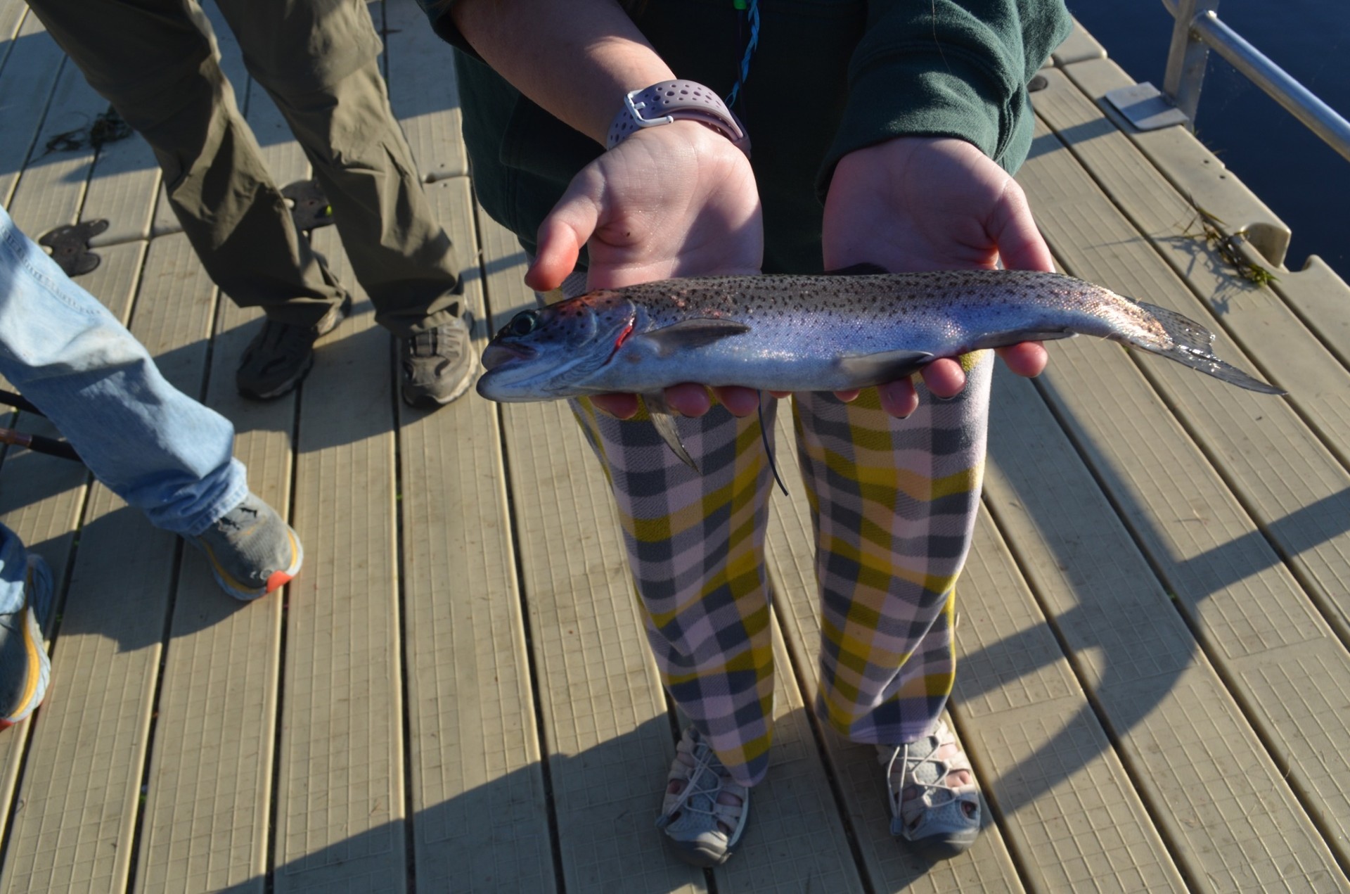 4H Camper catching a fish