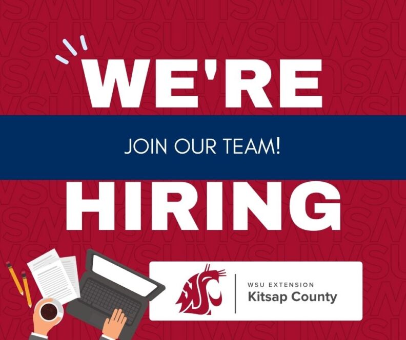 We're Hiring Join our Team!