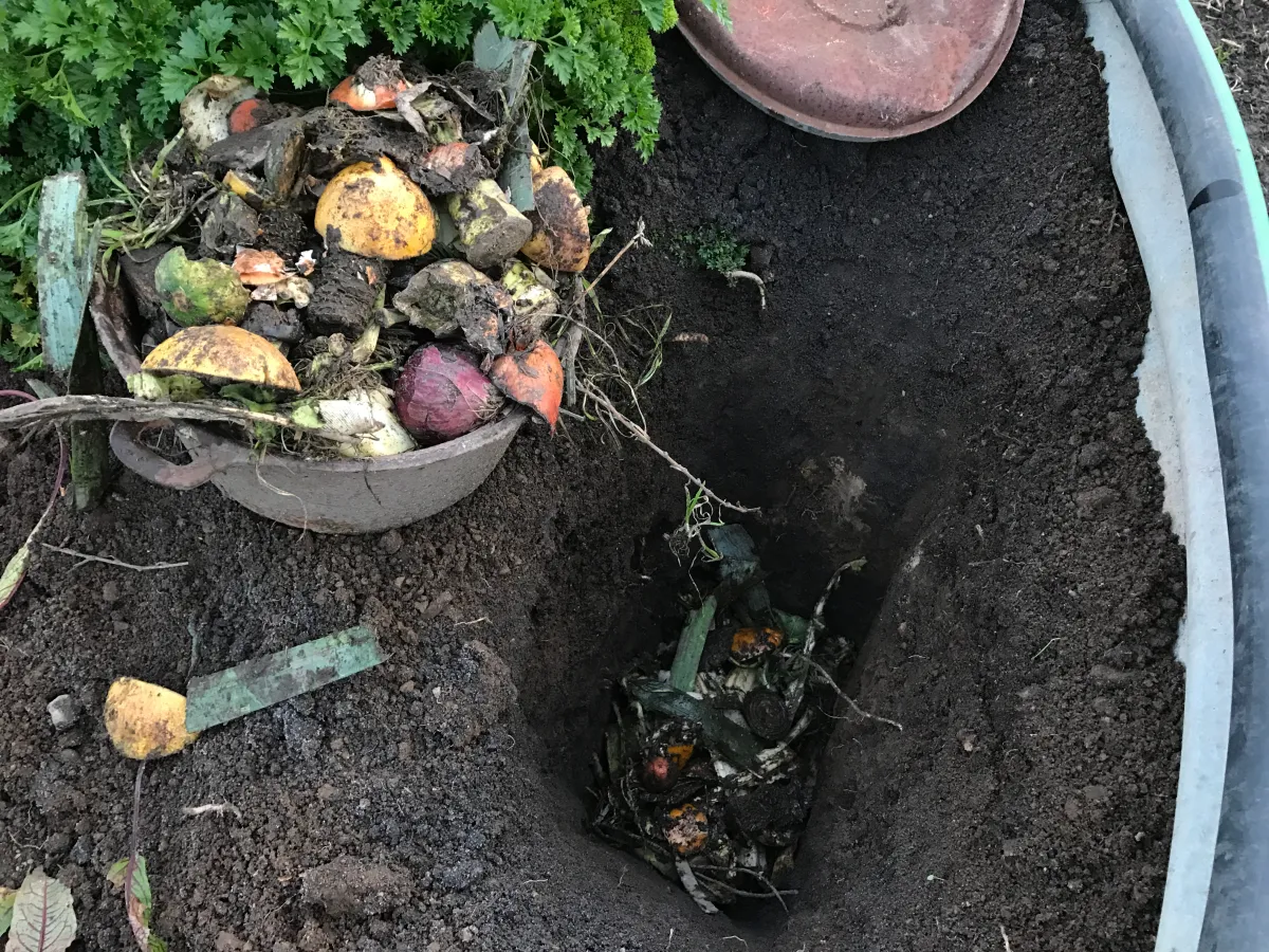 8 inch deep hole in soil with food scraps in it. Bucket of food scrap on side to be added.  