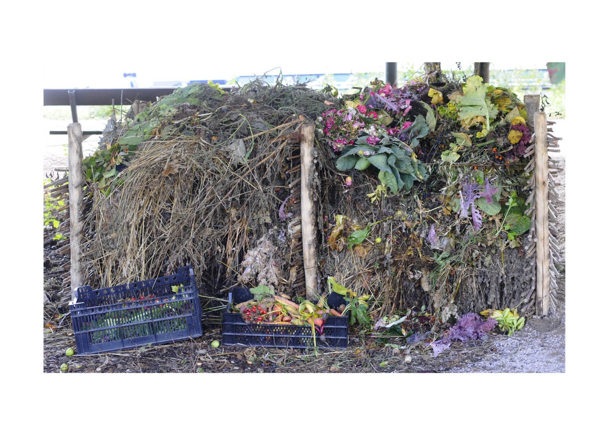 Messy, big heap, compost pile