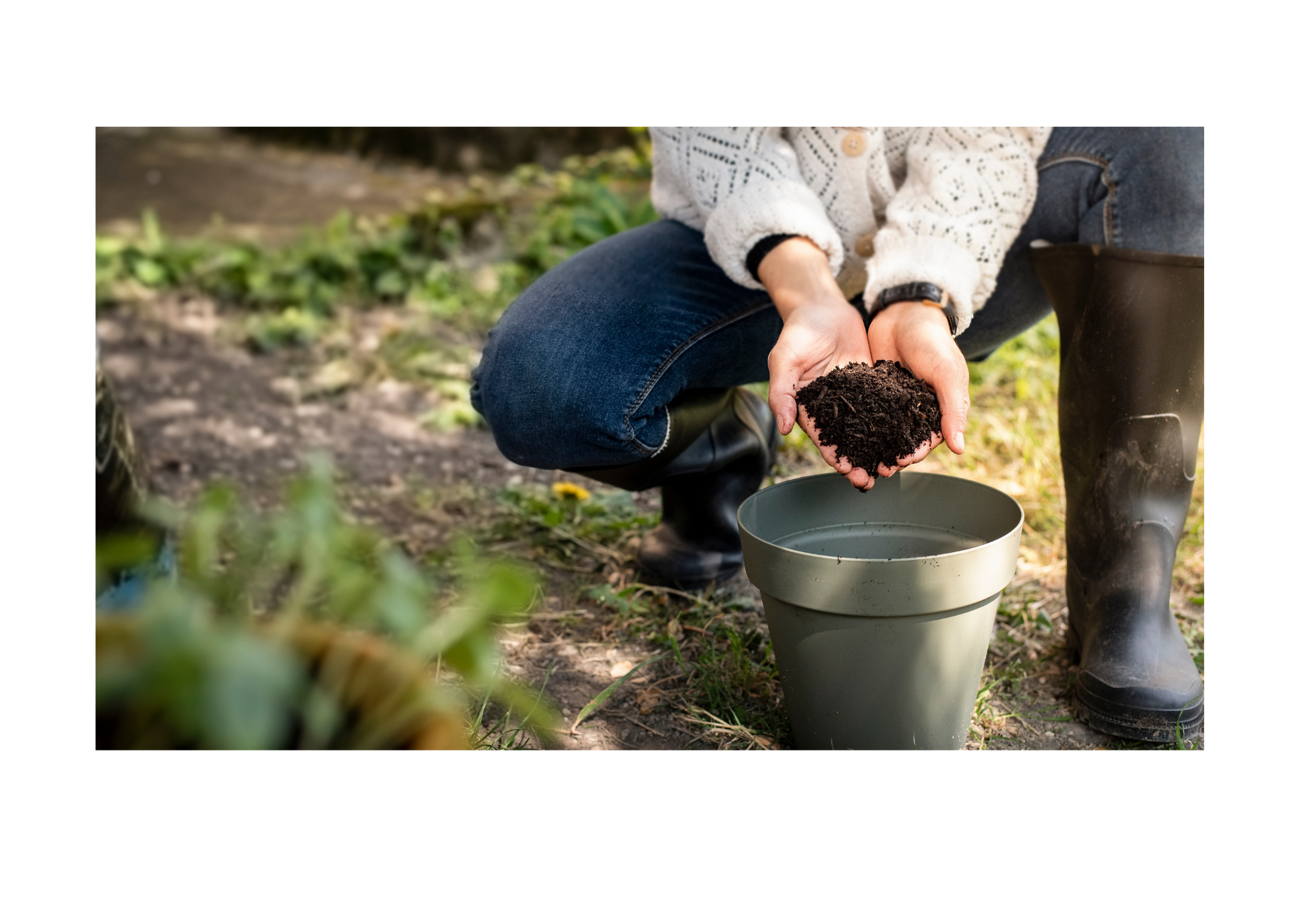 Person holding and presenting a handful of soil