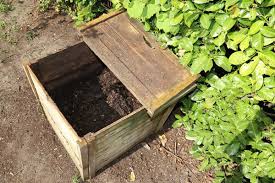 Wooden box with lid and no bottom sitting on ground as a worm composting unit for food scraps. 