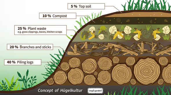 Illustrative cut-out view of how a hugalculture pile is built and how the materials inside are structured with big woody material on bottom, layered with smaller material, soil, food waste, more soil, more woodchip, and then capped with straw and soil.