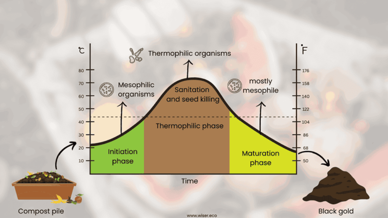 Temperature Graph showing zones where different organisms thrive depending on the temperature.