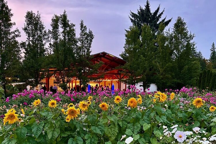 Wildflowers in forefront of farm building