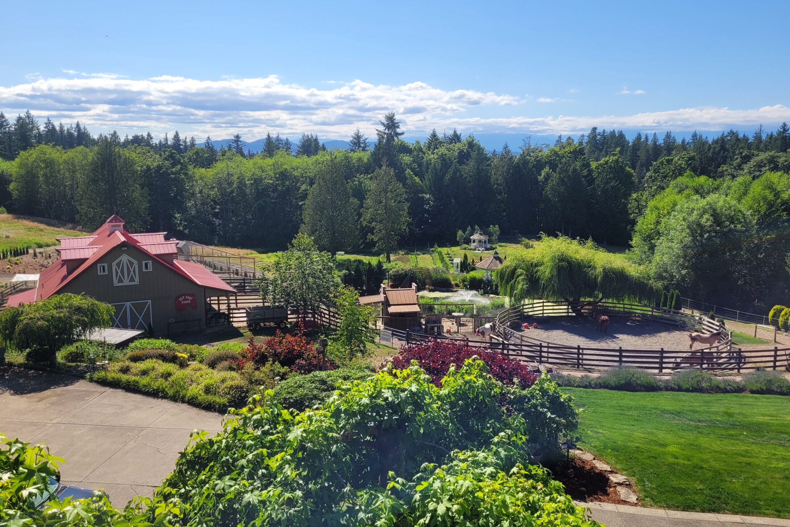 Farm property with barn and fields