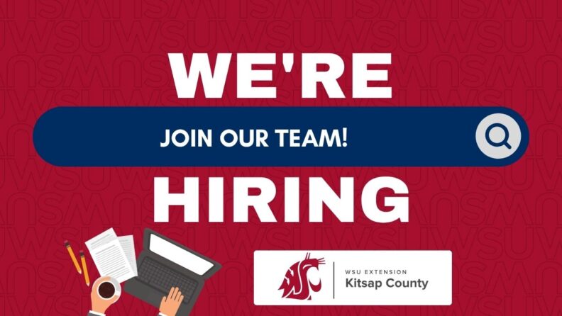 We're Hiring, Join our Team!