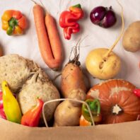 Decorative Image of Misshapen Produce Items coming out of grocery bag