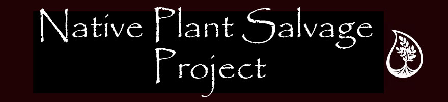 Native plant salvage logo of plant in water drop with the text "Native Plant Salvage Project"