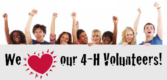 Picture of 4-H volunteers with "We love our 4-H Volunteers!"