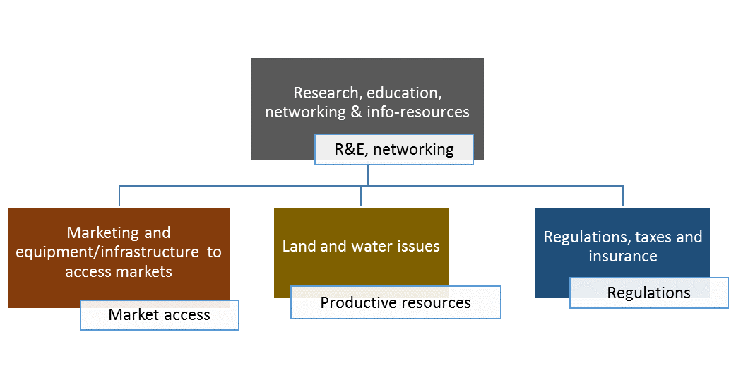 Visual depiction of primary needs identified by farmers. The chart is a hierarchical chart. At the top is Research, education, networking and informational resources. At the second tier are three group needs: Marketing and equipment/infrastructure to access markets, Land and Water issues, and Regulations, taxes and insurance. In summary those three tier-two needs have to do with market access, productive resources, and regulations.
