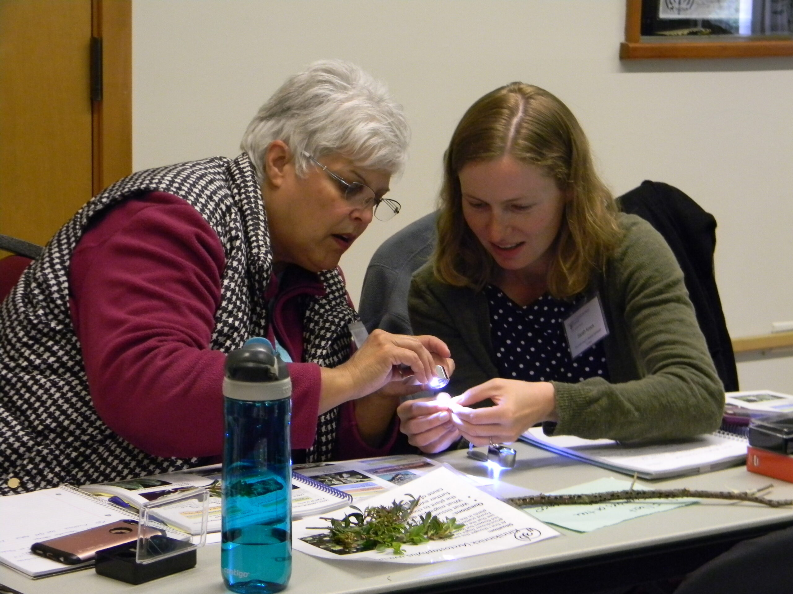 Two WSU Master Gardener volunteers looking through a hand lens at a plant specimen with diagnosis tools on the table. 