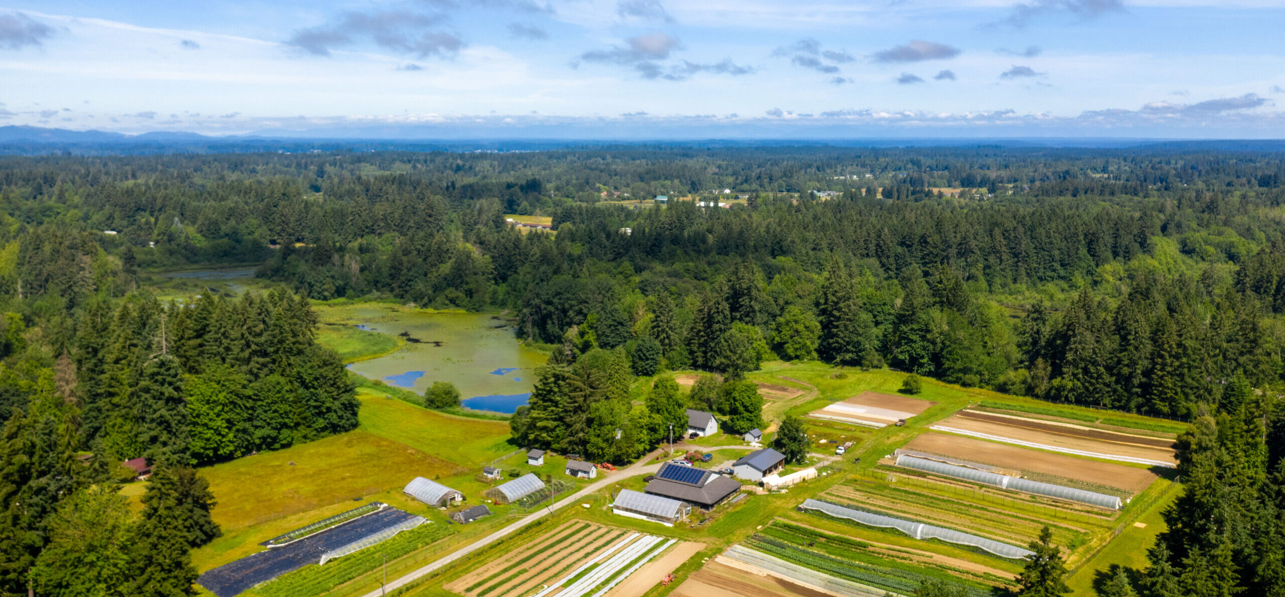 Panorama view of fields