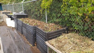 A row of full compost bins at Dirt Works.