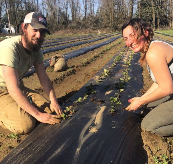 Two people working in a field row