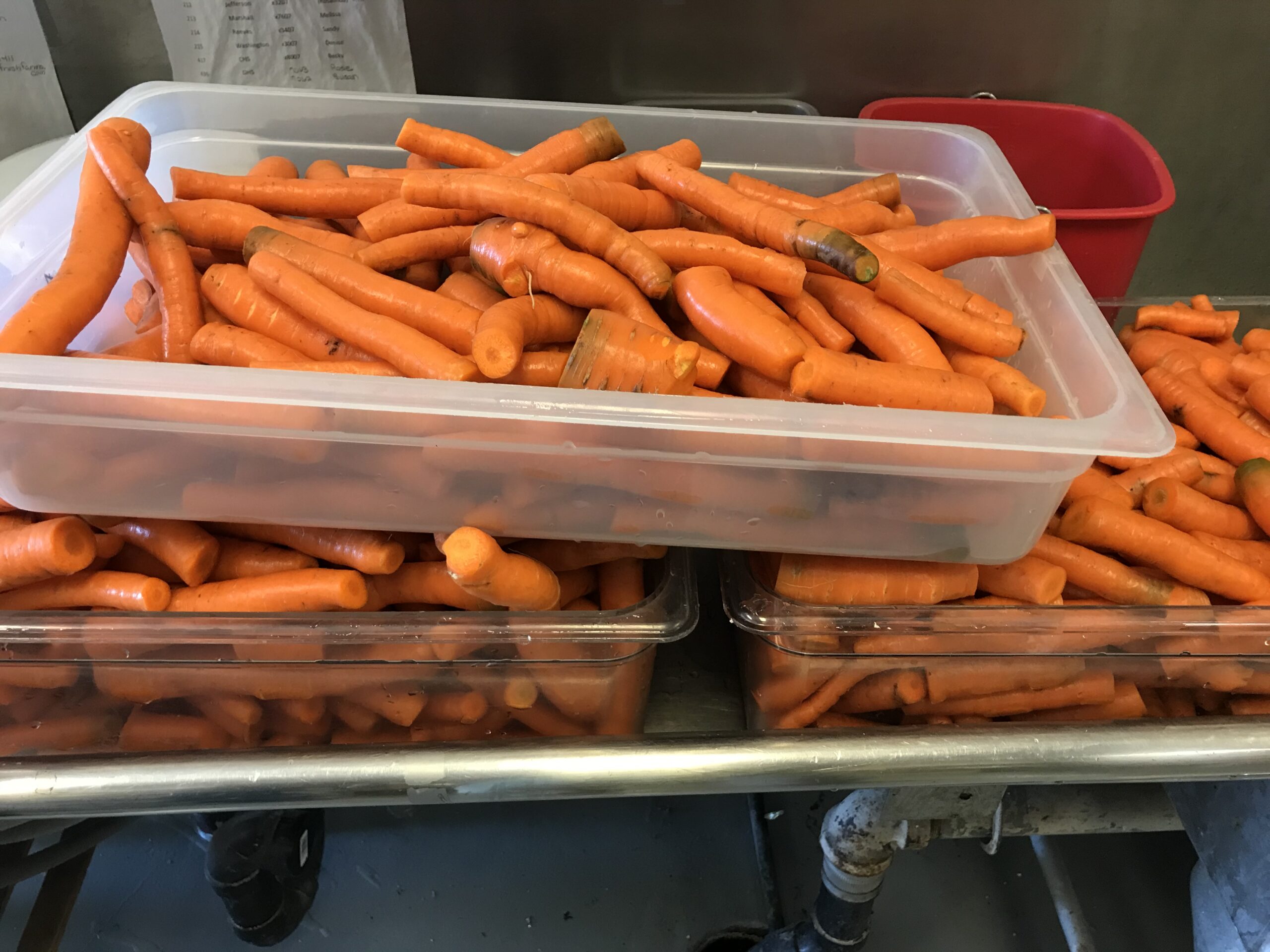 Carrots