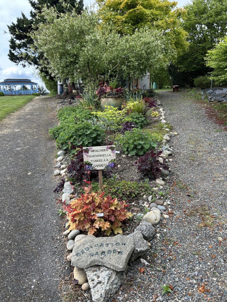 Wood chips in the demo garden