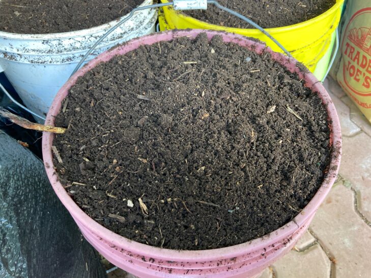 Bucket of finished compost.