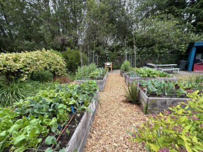 Raised beds full of vegetables at Dirt Works.