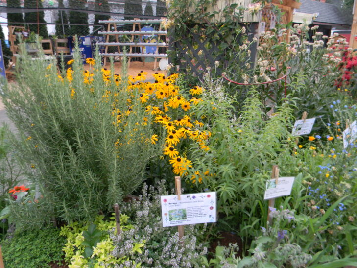 Pollinator Garden at the Thurston County Fairgrounds.