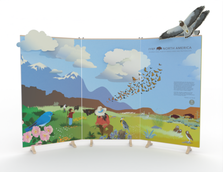 IYRP display (front)
