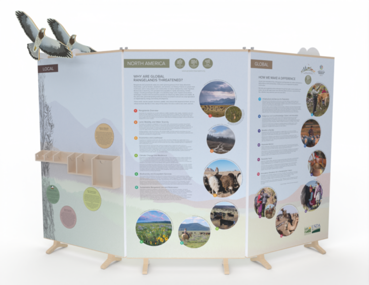 IYRP display (back)